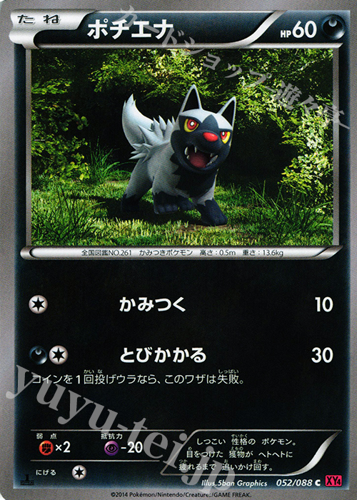 C ポチエナ | 販売 | [XY4] ファントムゲート | ポケモンカードゲーム
