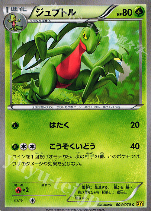 C ジュプトル | 販売 | [XY5] ガイアボルケーノ | ポケモンカードゲーム