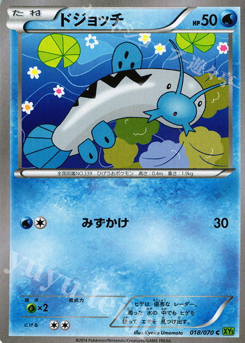 C ドジョッチ | 販売 | [XY5] タイダルストーム | ポケモンカードゲーム