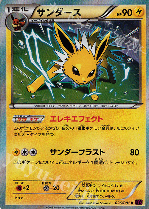 R サンダース | 販売 | [XY7] バンデットリング | ポケモンカードゲーム