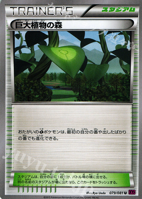 U 巨大植物の森 | 買取 | [XY7] バンデットリング | ポケモンカードゲーム