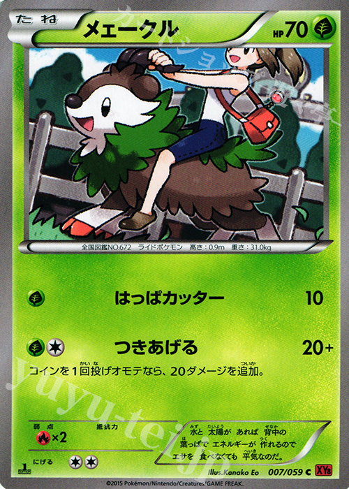 C メェークル | 販売 | [XY8] 赤い閃光 | ポケモンカードゲーム