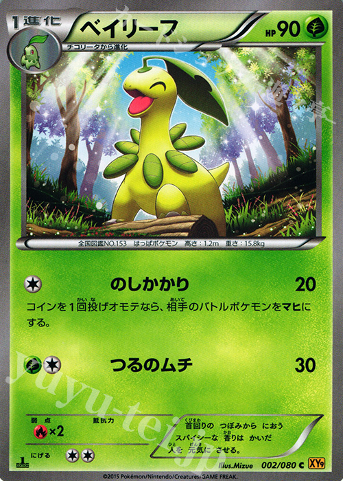 C ベイリーフ | 販売 | [XY9] 破天の怒り | ポケモンカードゲーム