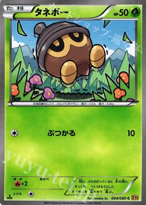 C タネボー | 販売 | [XY9] 破天の怒り | ポケモンカードゲーム