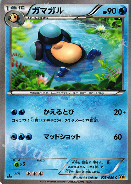 C ガマガル | 販売 | [XY9] 破天の怒り | ポケモンカードゲーム