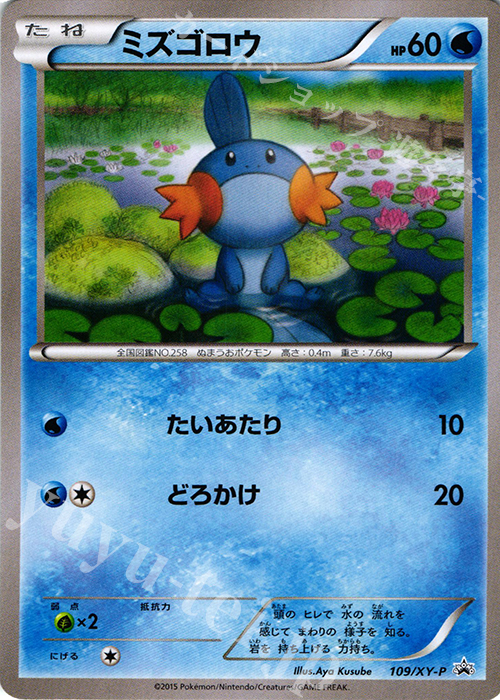 PROMO ミズゴロウ | 買取 | XY プロモーションカード【101〜200】 | ポケモンカードゲーム