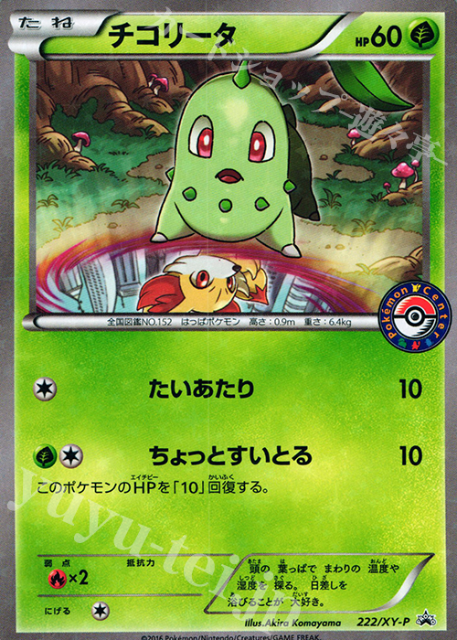 PROMO チコリータ | 販売 | XY プロモーションカード【201〜300】 | ポケモンカードゲーム