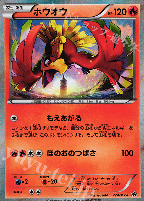 PROMO ホウオウ | 販売 | XY プロモーションカード【201〜300】 | ポケモンカードゲーム