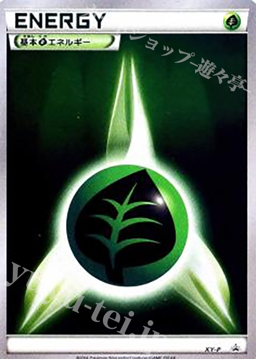 PROMO 基本草エネルギー(プロモーションパック 第2弾) | 販売 | XY プロモーションカード【その他】 | ポケモンカードゲーム