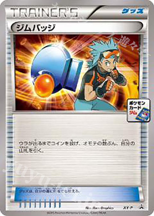 PROMO ジムバッジ(トウキ) | 買取 | XY プロモーションカード【その他】 | ポケモンカードゲーム