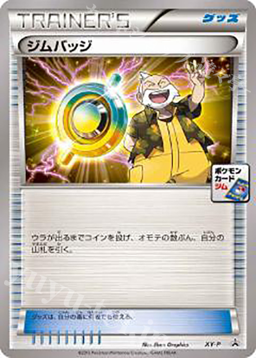 PROMO ジムバッジ(テッセン) | 買取 | XY プロモーションカード【その他】 | ポケモンカードゲーム