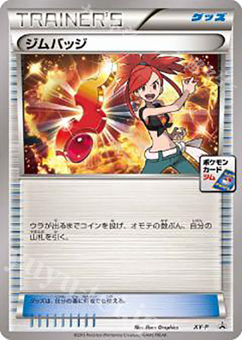 PROMO ジムバッジ(アスナ) | 買取 | XY プロモーションカード【その他】 | ポケモンカードゲーム
