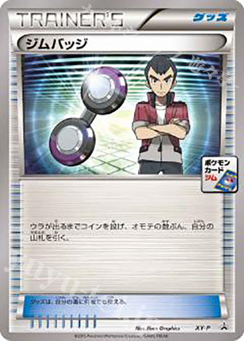 PROMO ジムバッジ(センリ) | 買取 | XY プロモーションカード【その他】 | ポケモンカードゲーム