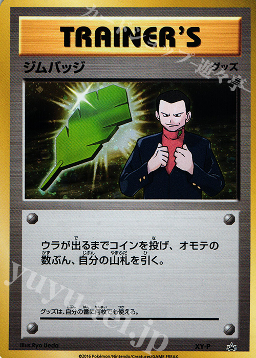 PROMO ジムバッジ(サカキ│キラ仕様) | 販売 | XY プロモーションカード【その他】 | ポケモンカードゲーム