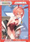 BA/PR-0010 PR ネル(バニーガール) 