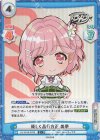  DJ/001B-078S C+ 優しく品行方正 美夢 