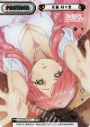 DK/002B-P011 NBP 花園 羽々里（箔押し入り）