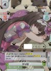  FG/001T-013SN SNR 刑部姫（箔押し入り） 