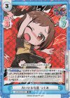  GP/001B-032S SR 大いなる普通 つぐみ 