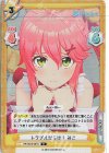  HP/001E-007S D トラブルだらけ！ みこ 
