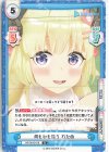 HP/001E-019 D 何もかも違う わため