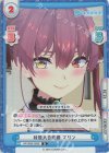 HP/003E-028S D 我慢大会優勝 マリン