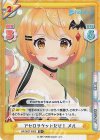  HP/002T-002S TD+ アセロラゲットだぜ！ メル 