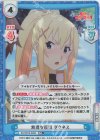  KS/001B-046S RR+ 無理な抵抗 ダクネス 
