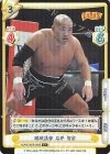  NJPW/002B-029S C+ 臨戦態勢 石井 智宏 