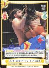  NJPW/002B-064S R+ パッケージドライバー チェーズ・オーエンズ 