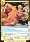  NJPW/002B-073 C Skull End SANADA 