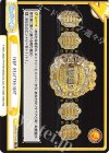 NJPW/001TV-016 TD IWGP HEAVYWEIGHT 