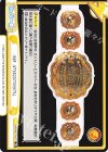  NJPW/001TV-077 TD IWGP INTERCONTINENTAL 