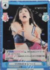 STD/001TV-011S TD+ STARDOM レディ・C