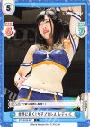  STD/001B-087 C 世界に輝く！女子プロレス レディ・C 