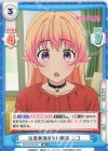 WW/001B-009 RR 注意事項の多い魔法 ニコ