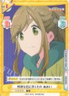  YC/001B-051 R 特別な日に頂くもの あおい 