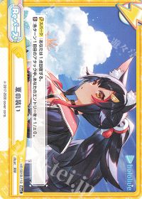 夏の装い