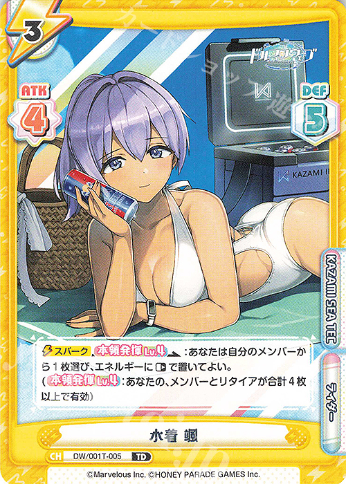 TD 水着 颯 | 販売 | ドルフィンウェーブ | Reバース for you