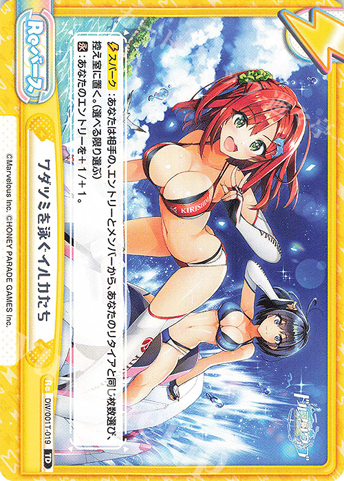 TD ワダツミを泳ぐイルカたち | 販売 | ドルフィンウェーブ | Reバース for you