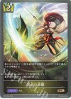  BP06-034 BR 居合の真髄 