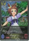  CP01-P19 BR・プレミアム ビコーペガサス 