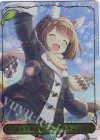  CP01-LD01 - 〔ふるさと直送エール！〕ユキノビジン 