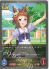  CSD01-018 BR ビコーペガサス 