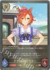  CSD01-029 BR テイエムオペラオー 