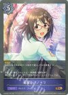  CSD02b-015 BR 満開のパノラマ 