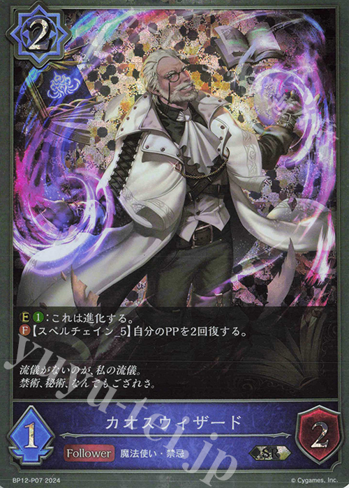 SR・プレミアム カオスウィザード | 販売 | [BP12]黒鉄の侵略者 | Shadowverse EVOLVE