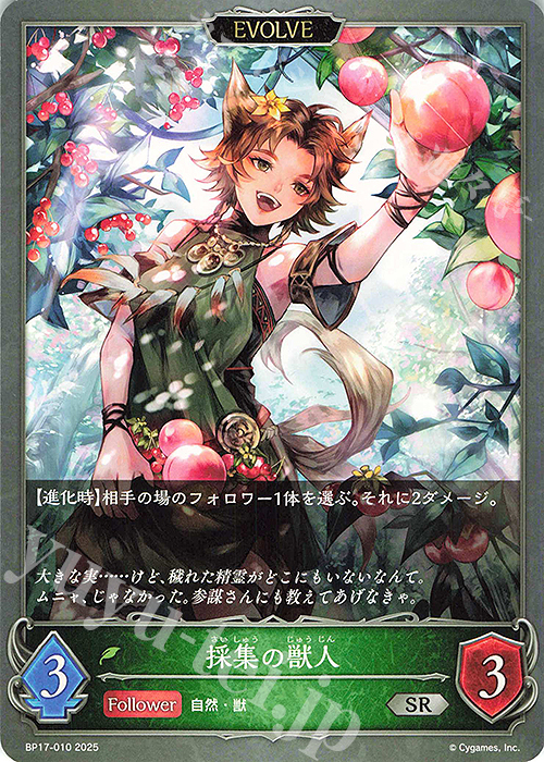 SR 採集の獣人 | 販売 | [BP17]Convergent Destinies/コンヴァージェント・ディスティニー | Shadowverse EVOLVE