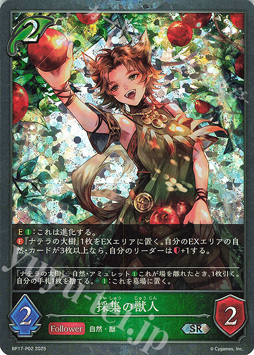 SR・プレミアム 採集の獣人 | 販売 | [BP17]Convergent Destinies/コンヴァージェント・ディスティニー | Shadowverse EVOLVE