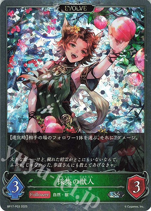 SR・プレミアム 採集の獣人 | 販売 | [BP17]Convergent Destinies/コンヴァージェント・ディスティニー | Shadowverse EVOLVE